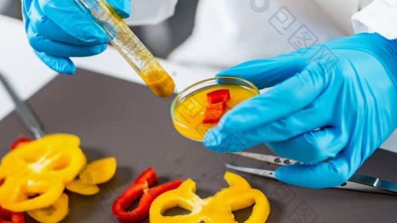 水果软糖生产厂家排名：揭秘优质产品的生产奥秘